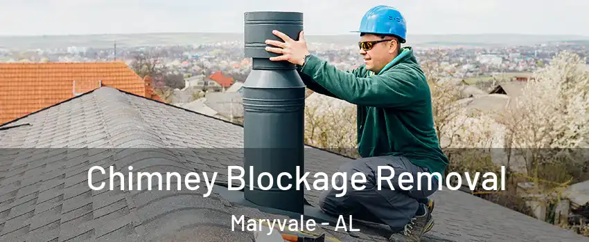 Chimney Blockage Removal Maryvale - AL