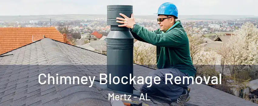 Chimney Blockage Removal Mertz - AL