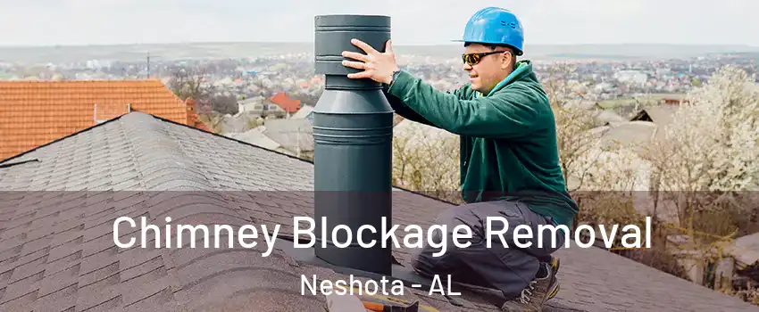 Chimney Blockage Removal Neshota - AL