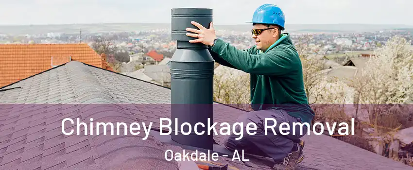 Chimney Blockage Removal Oakdale - AL