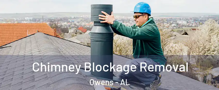 Chimney Blockage Removal Owens - AL