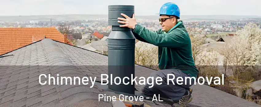 Chimney Blockage Removal Pine Grove - AL