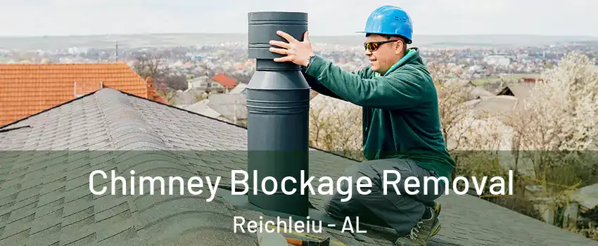 Chimney Blockage Removal Reichleiu - AL