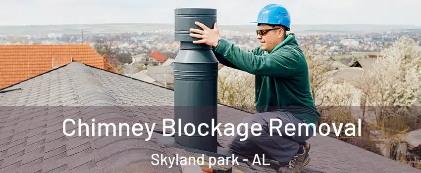 Chimney Blockage Removal Skyland park - AL