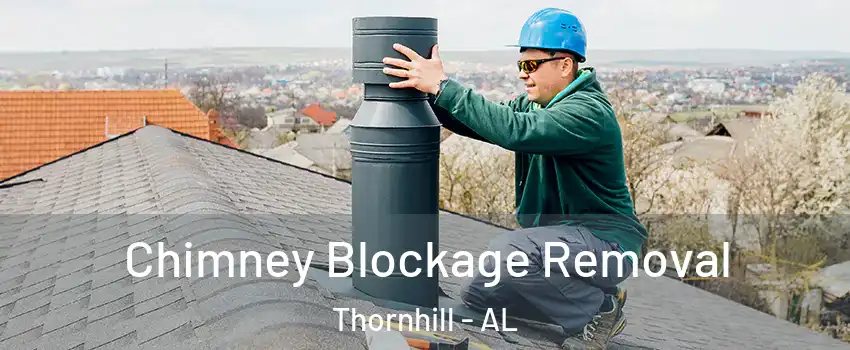 Chimney Blockage Removal Thornhill - AL