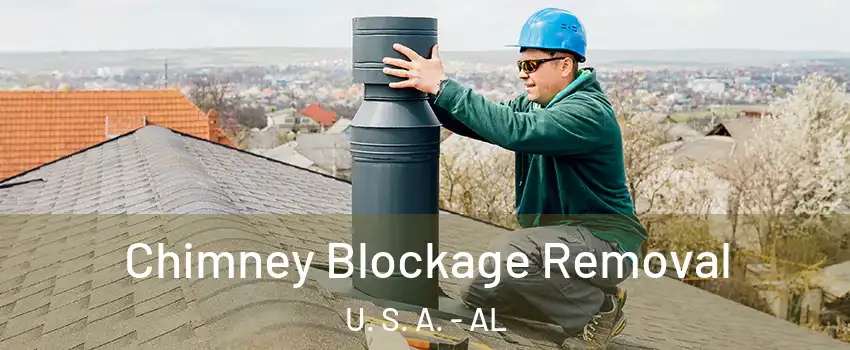 Chimney Blockage Removal U. S. A. - AL