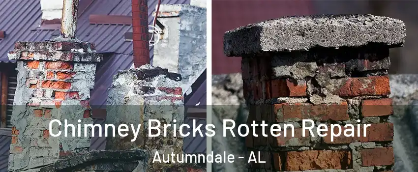 Chimney Bricks Rotten Repair Autumndale - AL