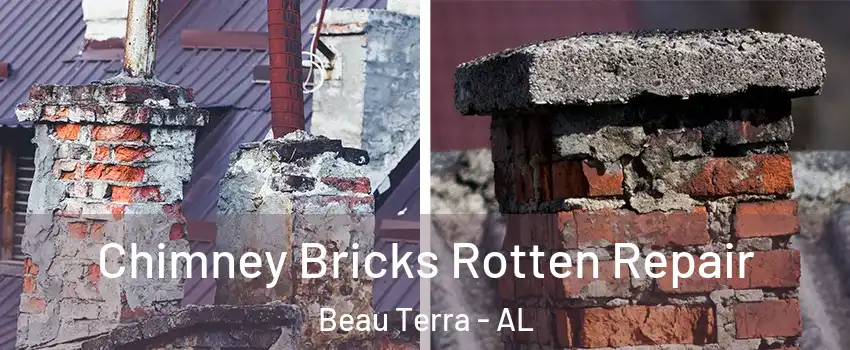 Chimney Bricks Rotten Repair Beau Terra - AL