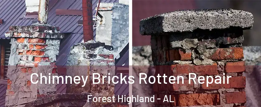Chimney Bricks Rotten Repair Forest Highland - AL