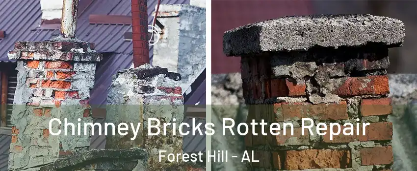 Chimney Bricks Rotten Repair Forest Hill - AL