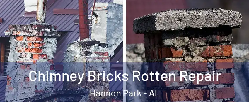 Chimney Bricks Rotten Repair Hannon Park - AL