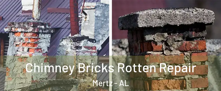 Chimney Bricks Rotten Repair Mertz - AL