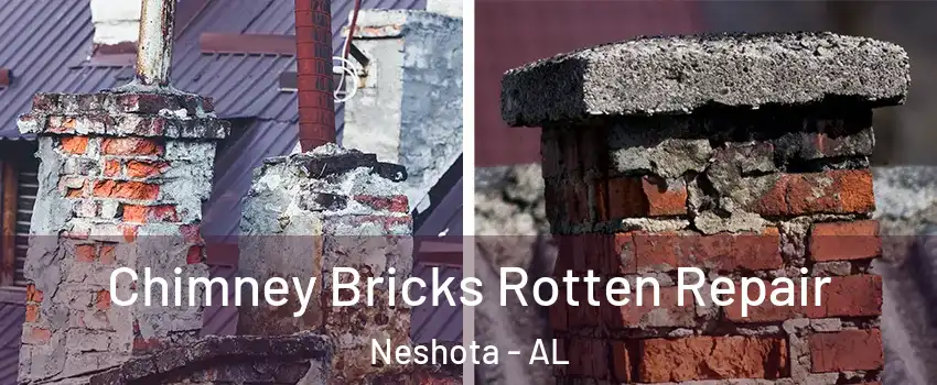 Chimney Bricks Rotten Repair Neshota - AL
