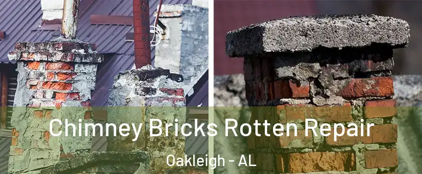 Chimney Bricks Rotten Repair Oakleigh - AL