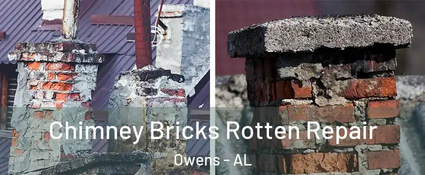 Chimney Bricks Rotten Repair Owens - AL
