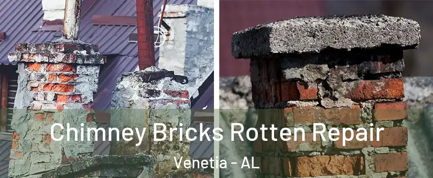 Chimney Bricks Rotten Repair Venetia - AL