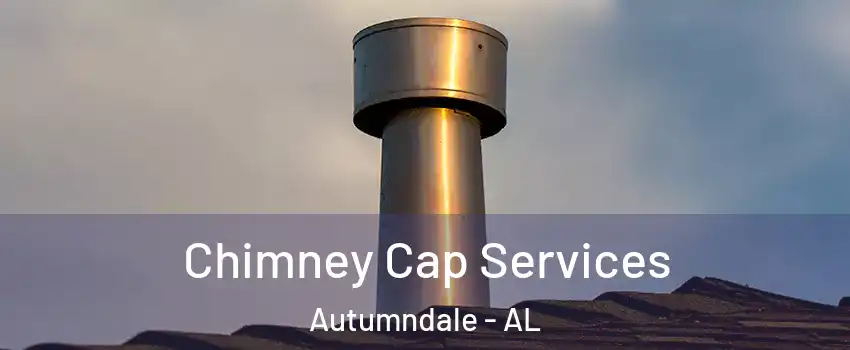 Chimney Cap Services Autumndale - AL