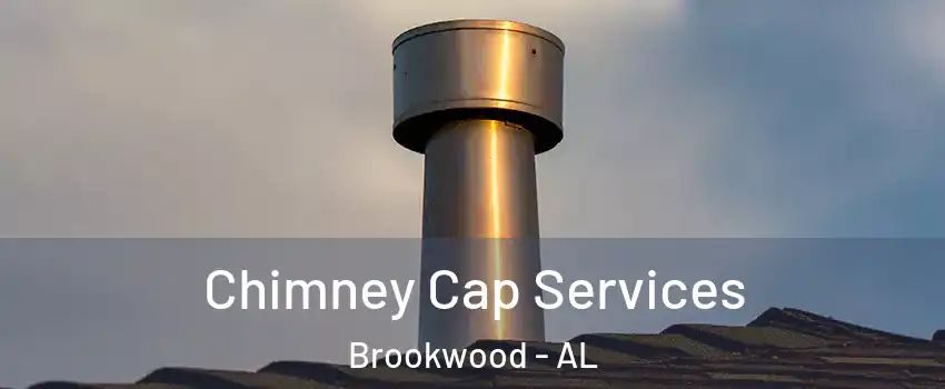 Chimney Cap Services Brookwood - AL