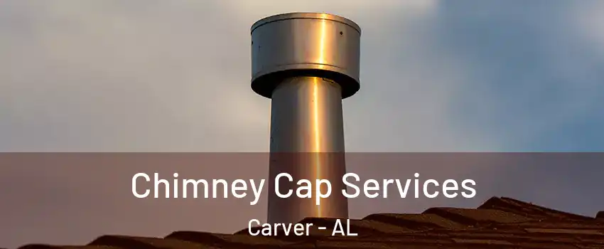 Chimney Cap Services Carver - AL