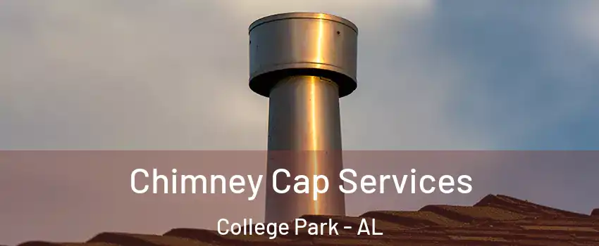 Chimney Cap Services College Park - AL