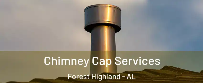 Chimney Cap Services Forest Highland - AL