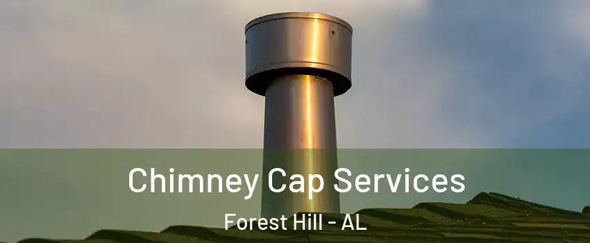 Chimney Cap Services Forest Hill - AL