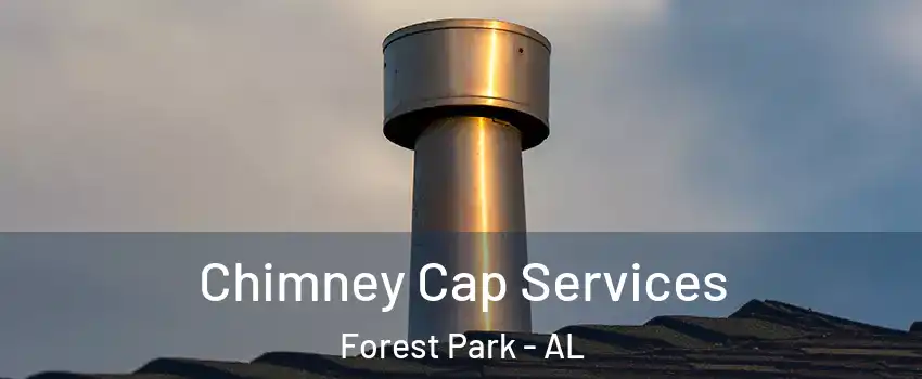 Chimney Cap Services Forest Park - AL