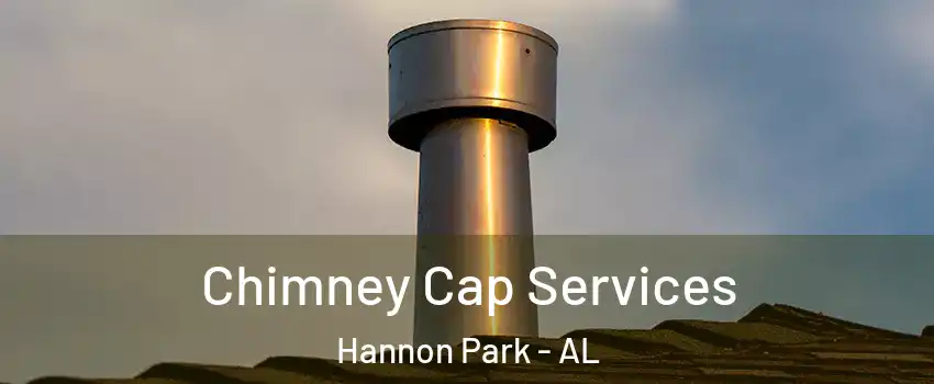 Chimney Cap Services Hannon Park - AL
