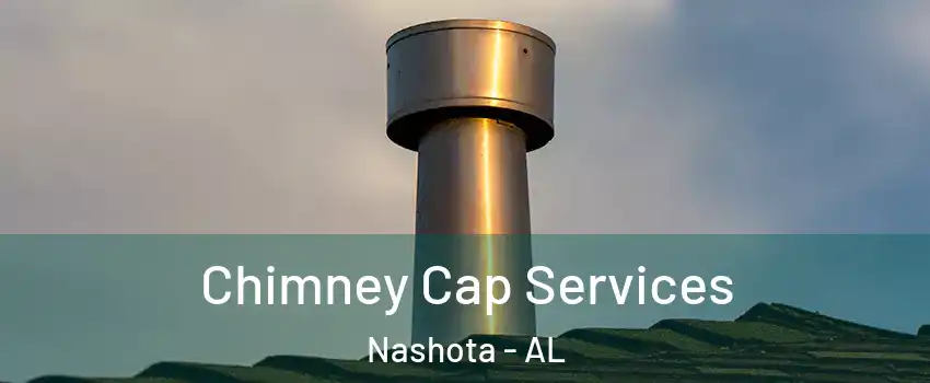 Chimney Cap Services Nashota - AL