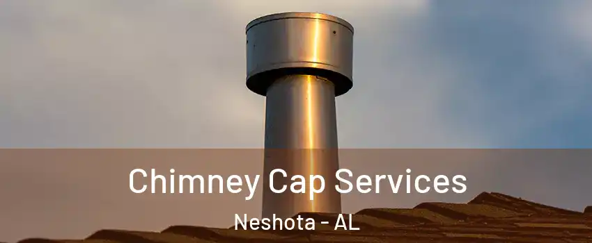 Chimney Cap Services Neshota - AL