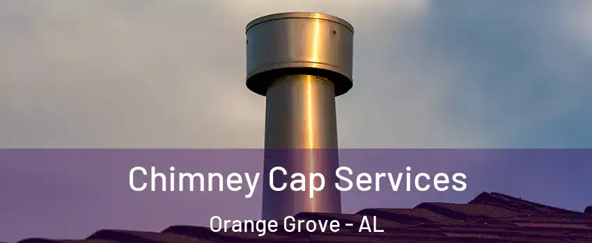 Chimney Cap Services Orange Grove - AL