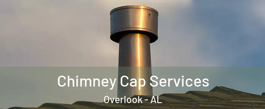 Chimney Cap Services Overlook - AL