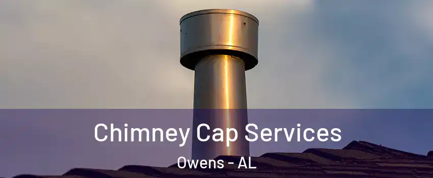 Chimney Cap Services Owens - AL
