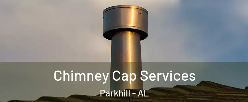 Chimney Cap Services Parkhill - AL