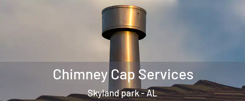Chimney Cap Services Skyland park - AL