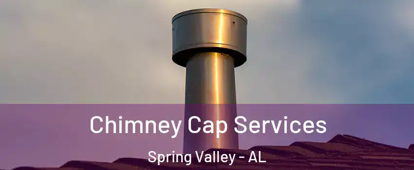 Chimney Cap Services Spring Valley - AL