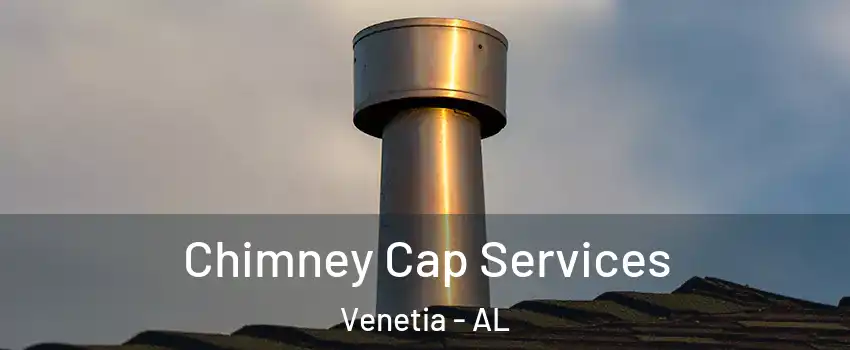 Chimney Cap Services Venetia - AL