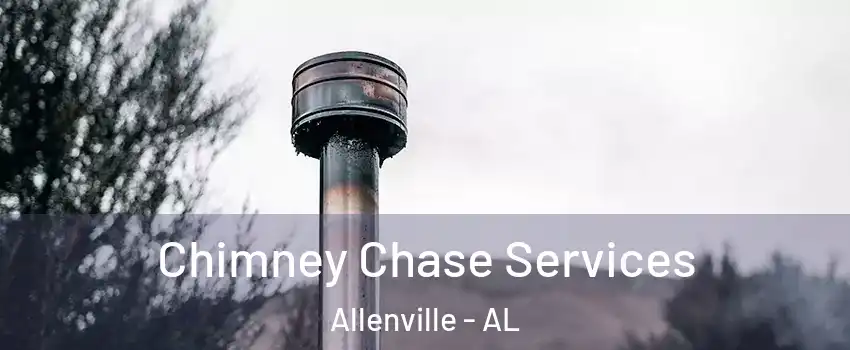 Chimney Chase Services Allenville - AL