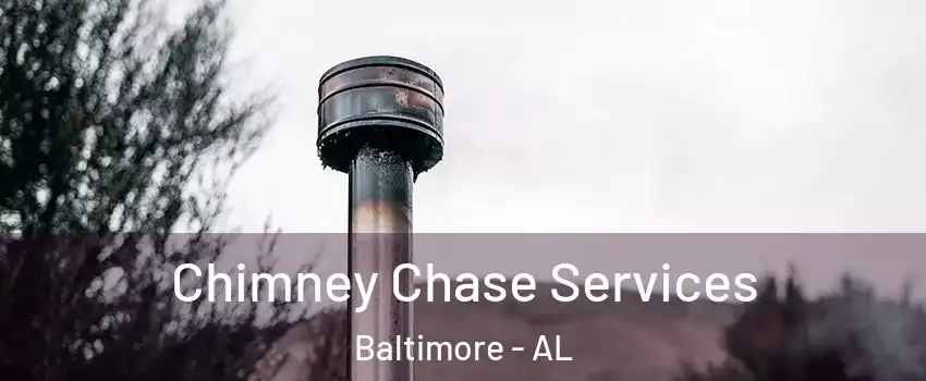 Chimney Chase Services Baltimore - AL
