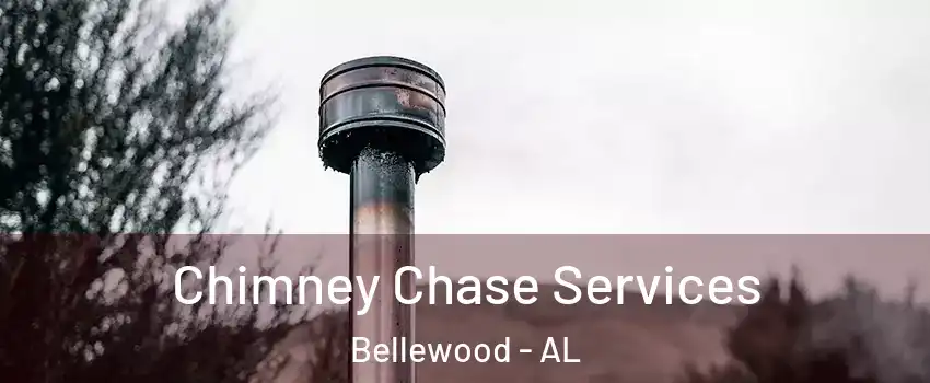 Chimney Chase Services Bellewood - AL