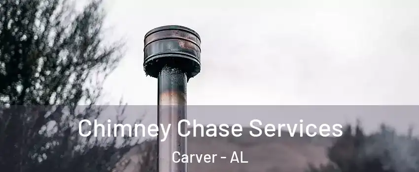 Chimney Chase Services Carver - AL