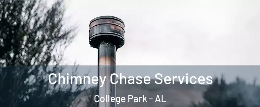 Chimney Chase Services College Park - AL
