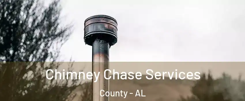 Chimney Chase Services County - AL