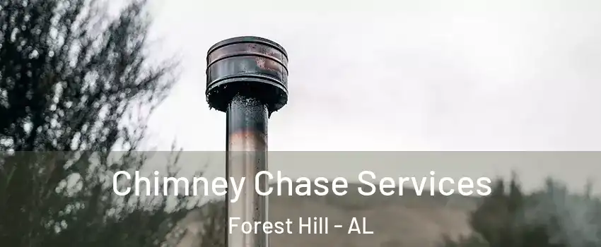 Chimney Chase Services Forest Hill - AL
