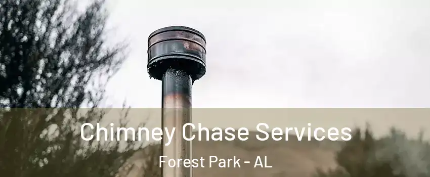 Chimney Chase Services Forest Park - AL