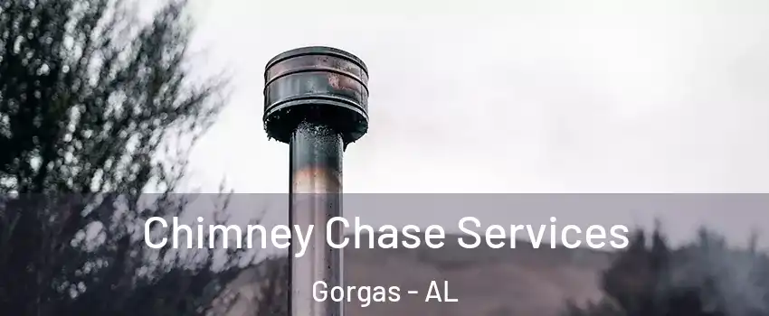 Chimney Chase Services Gorgas - AL