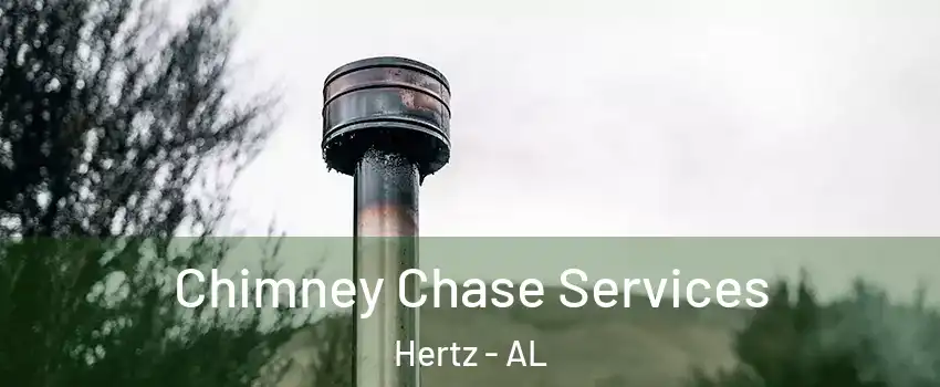 Chimney Chase Services Hertz - AL