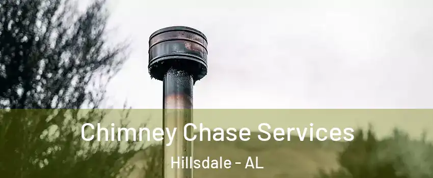 Chimney Chase Services Hillsdale - AL