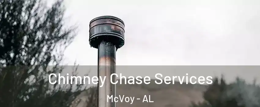 Chimney Chase Services McVoy - AL