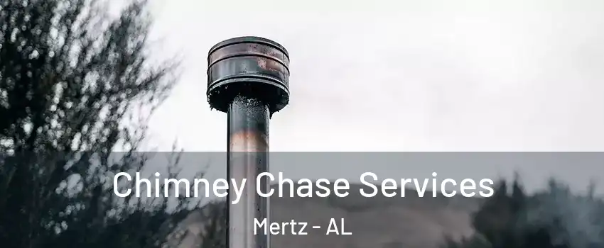 Chimney Chase Services Mertz - AL